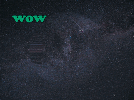 200.gif?cid=fc005b089d7730410c8d3a6faf676b583112e0ce97317b29&rid=200.gif&ct=g