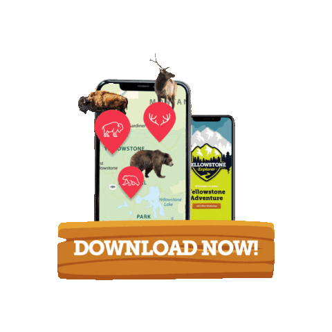 Yellowstone Explorer Sticker