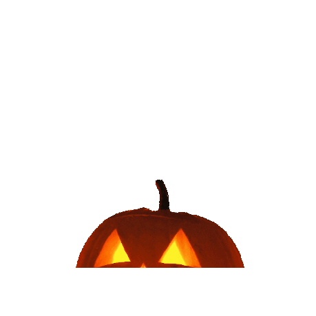 Halloween Adopt Sticker by Prairie Paws Animal Shelter