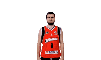 Basketball Sticker by Cherkaski Mavpy