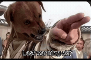 Dodge Funny Dog GIF