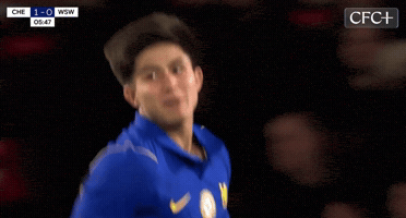 Chelsea Fc Football GIF