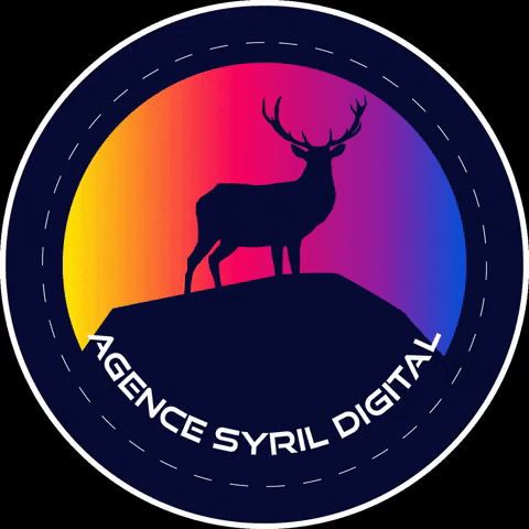 syrilfr asd marketing digital agence syril digital agence digitale toulouse GIF