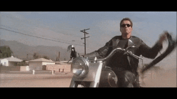 Terminator GIF