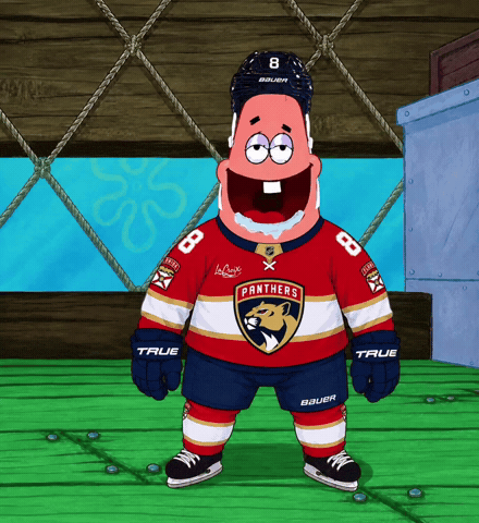 Florida Panthers GIF