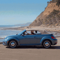 summer car GIF by Volkswagen USA