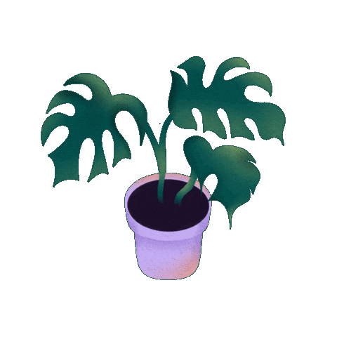 Plant Monstera Sticker by Kennedy