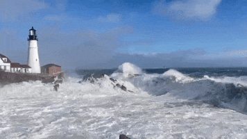 Ocean Waves GIF by Storyful
