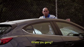 Where You Going Black Comedy GIF by ABC Indigenous