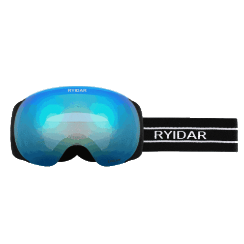 RYIDAR Sticker