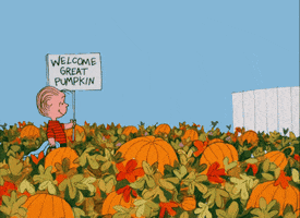 Great Pumpkin Halloween GIF