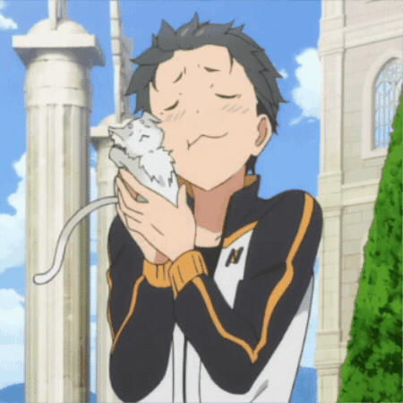Holding Re Zero GIF