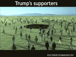 trump GIF