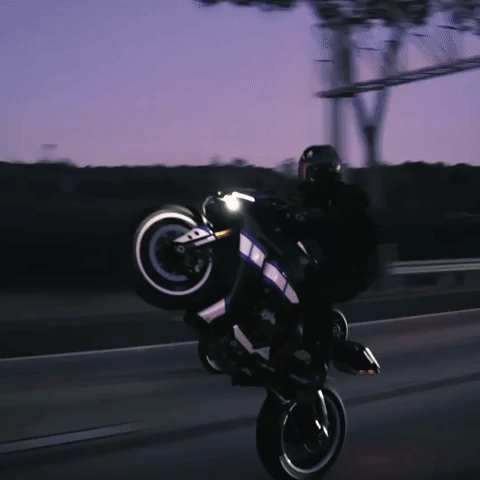 Wheelie GIF