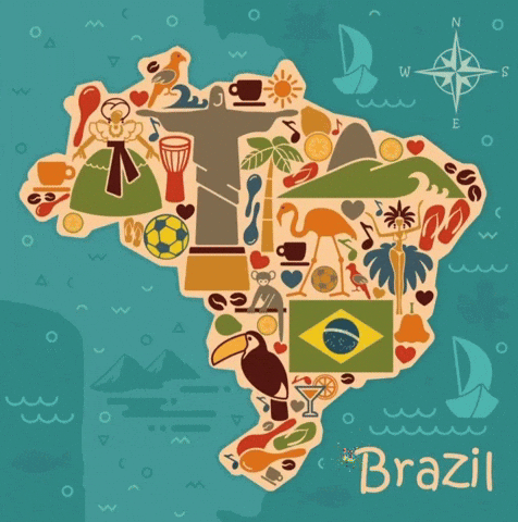 Brazil Miss GIF