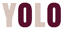 You Only Live Once Yolo Sticker by Jazze Jervis