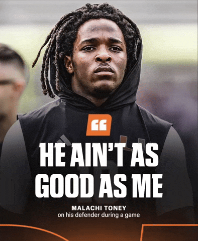 Miami Canes GIF