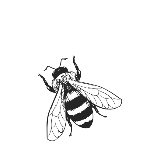 Busy Bee Fly GIF by FLYERALARM