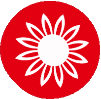 Sun Sunflower Sticker by LG Seeds Deutschland