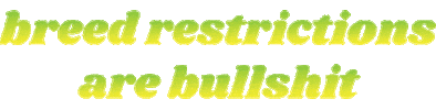 Dogs Puppy Sticker by Katie's KC Kennel