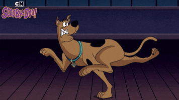 Scooby Doo Running GIF by Cartoon Network