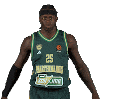 Kendrick Nunn Pao Sticker by Panathinaikos BC