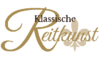 Horse Reiten Sticker by Reitkunstzentrum Südbaden