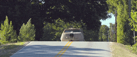jim carrey harry dunne GIF by Dumb and Dumber To