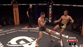 Mixed Martial Arts GIF by We love MMA