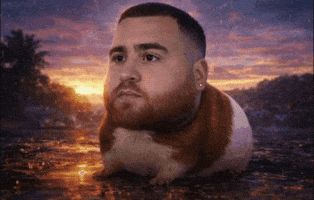 Guinea Pig Hamster GIF