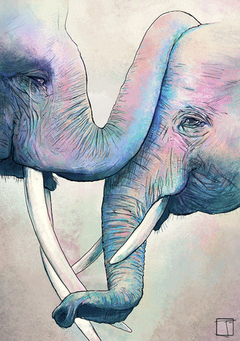 elephant love GIF by Phazed