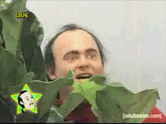Image result for man in bushes gif