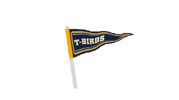 Thunder Sticker