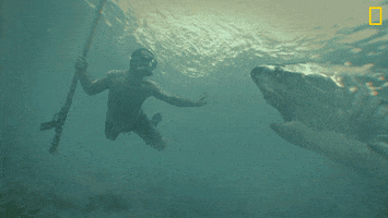 Oh No Swimming GIF by National Geographic Channel