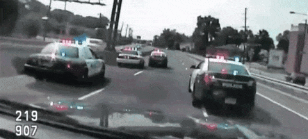 New Jersey Car GIF