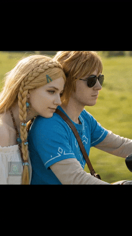 Zelda GIF