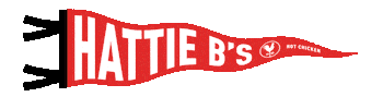 Texas Nashville Sticker by hattiebs