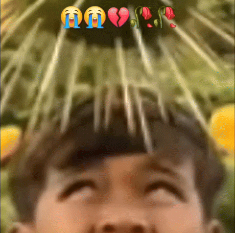 Gay Oioioi GIF