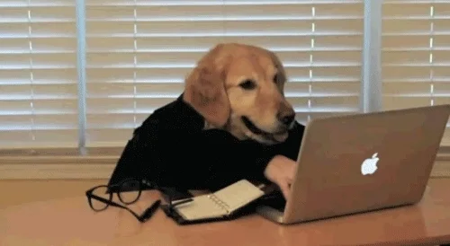 dog working typing busy working from home GIF