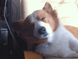 200.gif