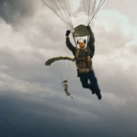 Dropping In Last Stand GIF by Call of Duty