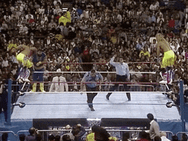 shawn michaels wrestling GIF by WWE