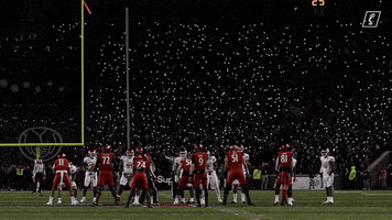 University Of Cincinnati Stadium GIF by Cincinnati Bearcats