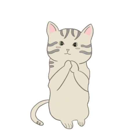 Cat Sticker