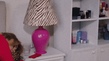 Kızılcık Şerbeti GIF by Show TV