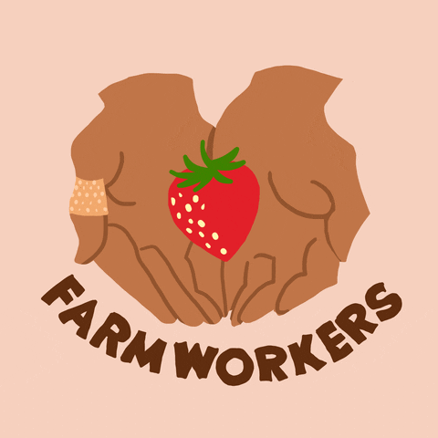 Illustrated gif. Two hands present a strawberry. Text reads, "Farmworkers."