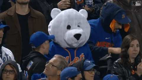 Polar Bear Baseball GIF
