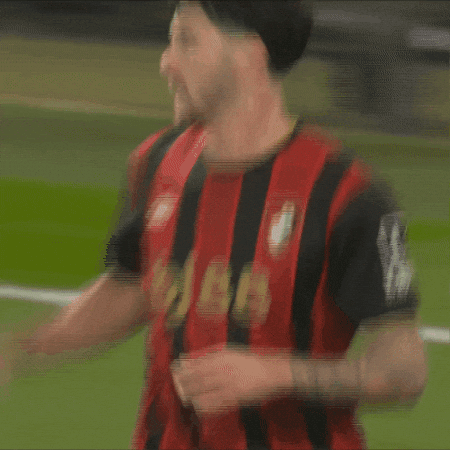 Happy Premier League GIF by AFC Bournemouth