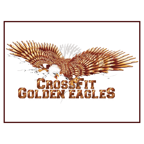 Weareeagles Crossfitasola Sticker by Crossfit Golden Eagles