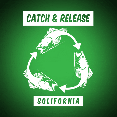 Solifornia GIF